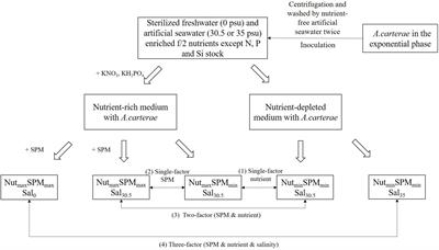 The Effects of Suspended Particulate Matter, Nutrient, and Salinity on the Growth of Amphidinium carterae Under Estuary Environmental Conditions